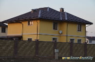 фото короед крашеный светлый